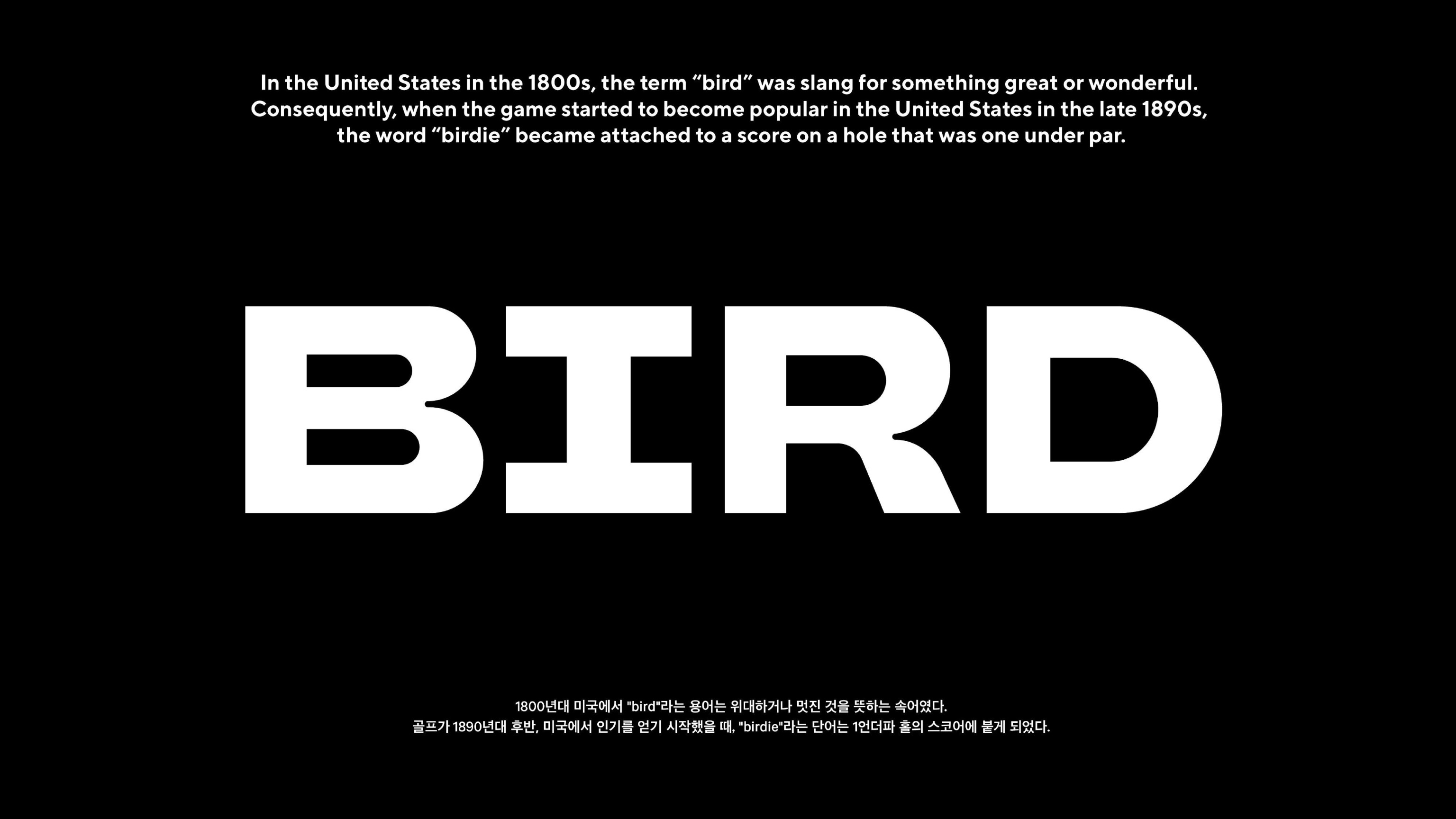 Birds Game PB Branding